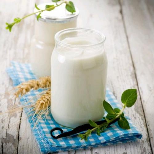Закваска Lactoferm YO 190 – YogurtTek Biochem